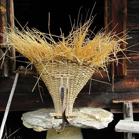 Haus Adora * Saas-Almagell